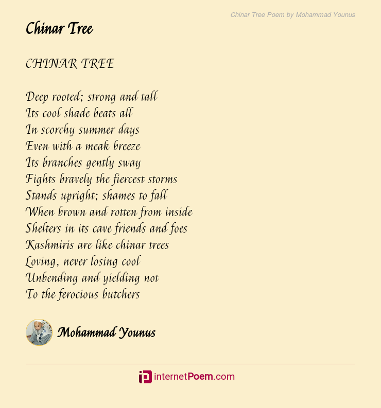 essay on chinar tree in urdu language