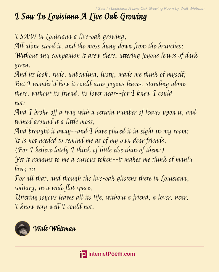 walt whitman i saw in louisiana a live oak growing
