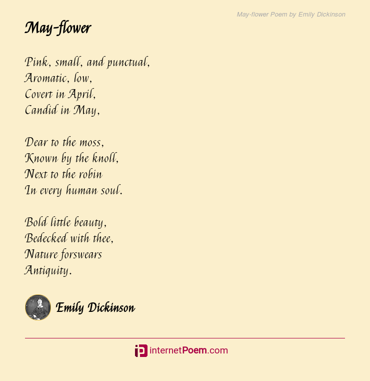 May-flower Poem by Emily Dickinson