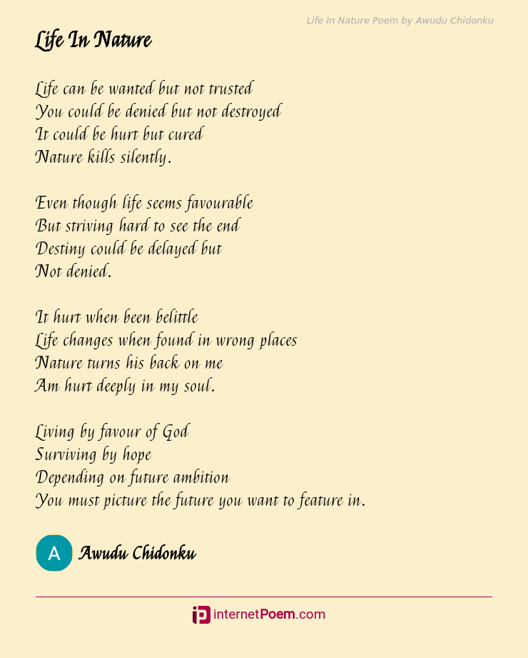 Life In Poem by Awudu Chidonku