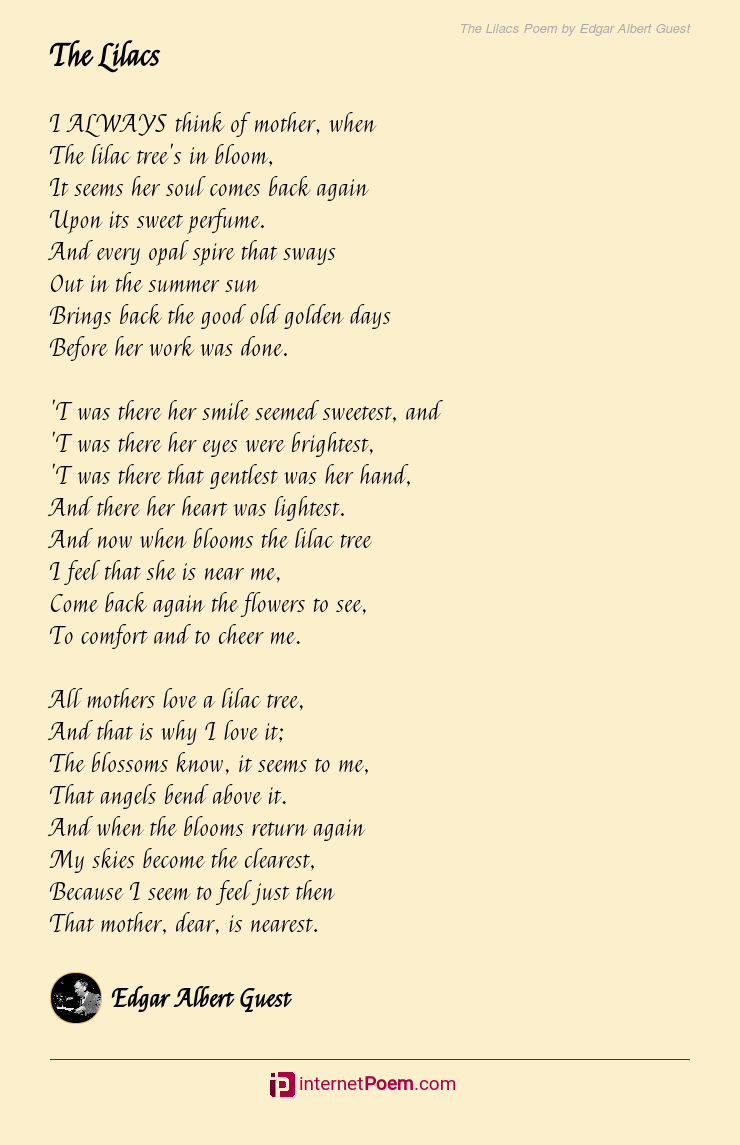 The Lilacs Poem by Edgar Albert Guest