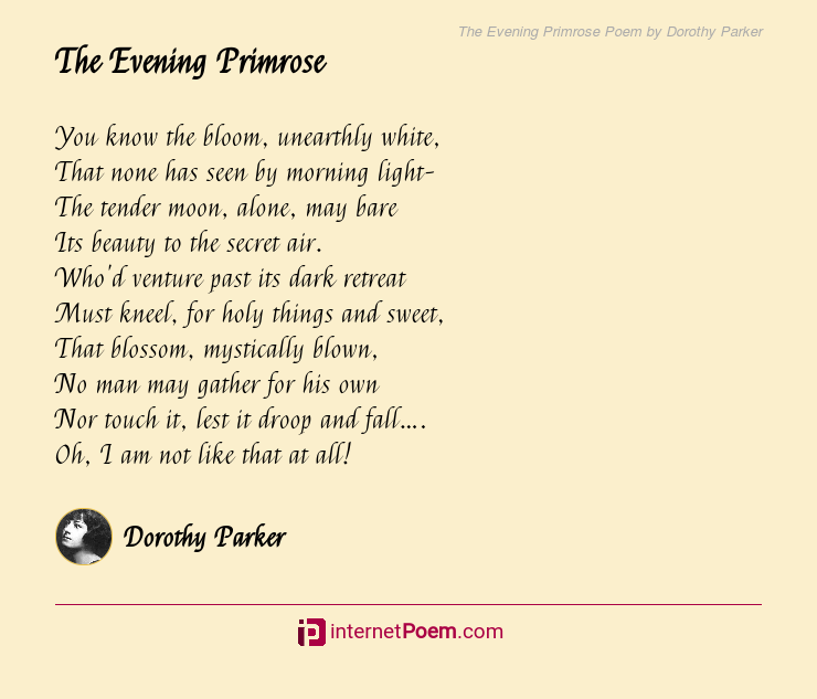 The Evening Primrose Poem by Dorothy Parker