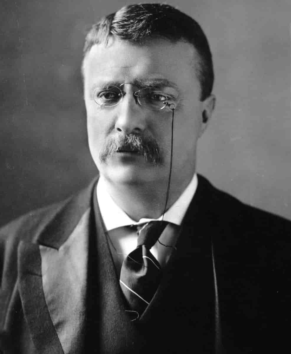 Poet Theodore Roosevelt